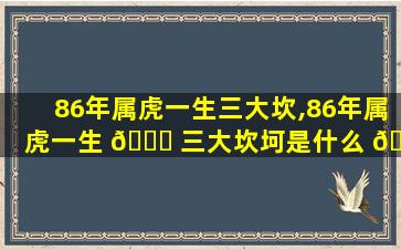 86年属虎一生三大坎,86年属虎一生 🐅 三大坎坷是什么 🐼